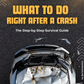 What To Do Right After A Crash | Handbook